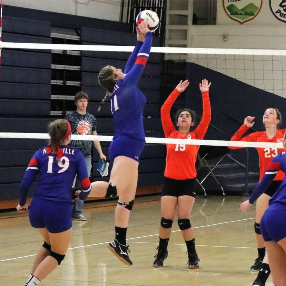 Meet your Posher, Teresa